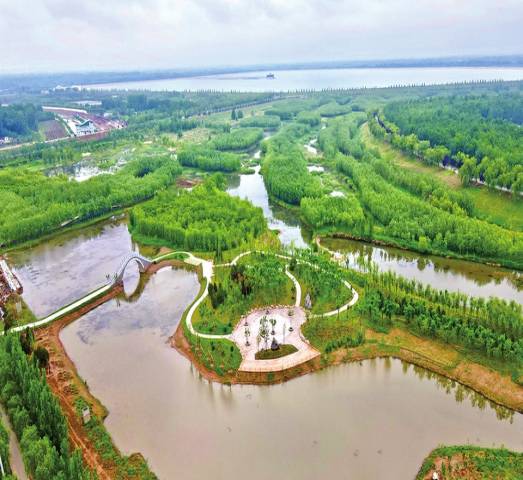 湖濱緩沖帶構建技術